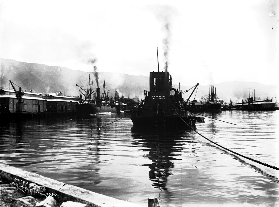 75; Wellington Waterfront, ' Whakarire ' - Circa 1890 - Glass Plate Negative