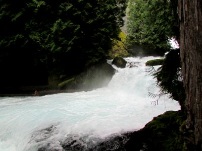 Waterfall at McKenzie River Trail in Central OR photo
