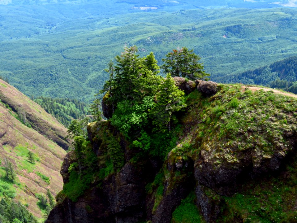 Saddle Mountain Trail in OR