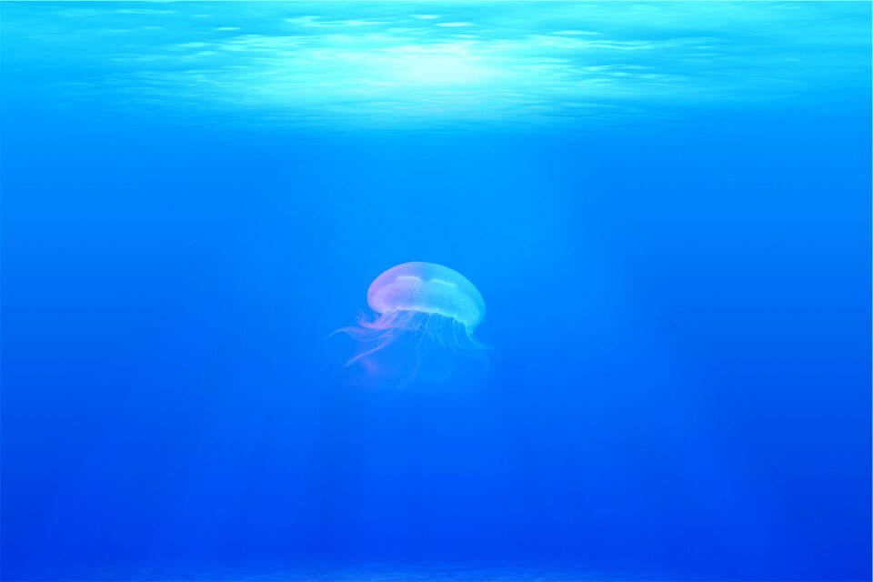 Ocean 4k wallpaper zoom background