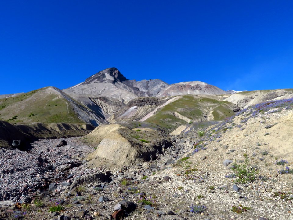 Mt. St. Helens NM in WA