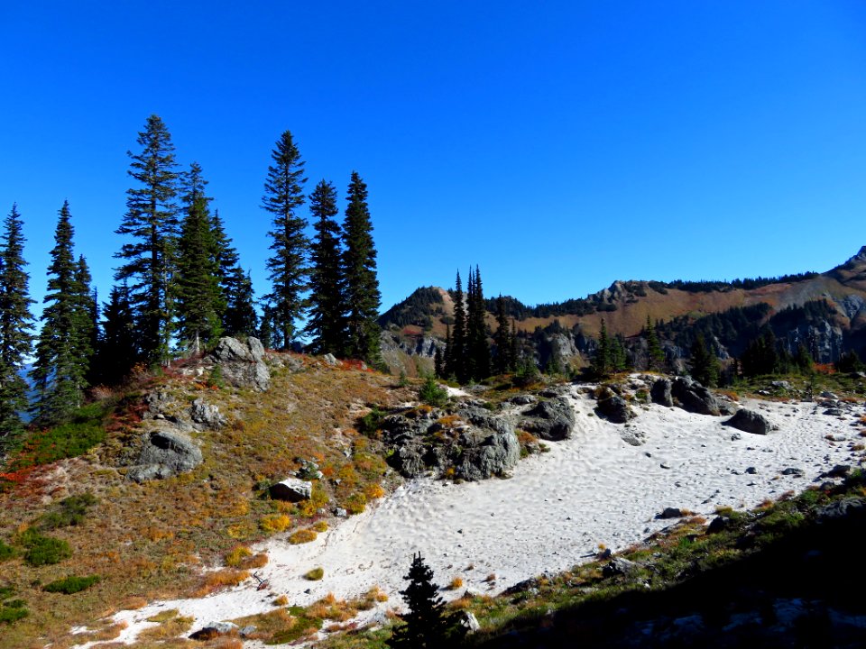 Tatoosh Ridge in WA