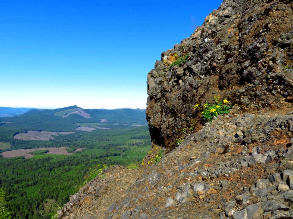 Saddle Mountain Trail in OR