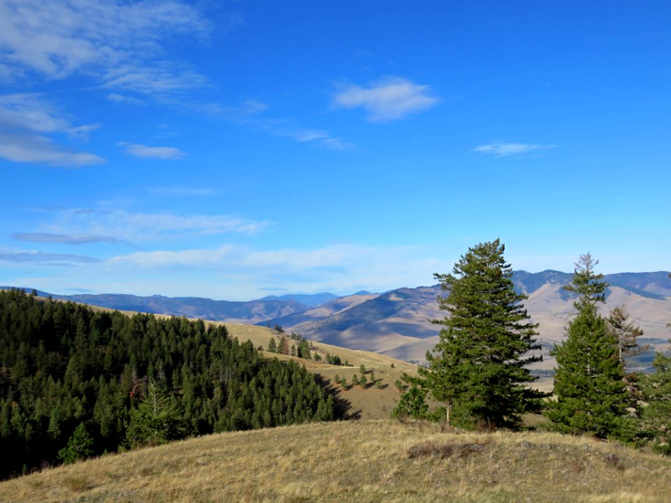 National Bison Range in Montana