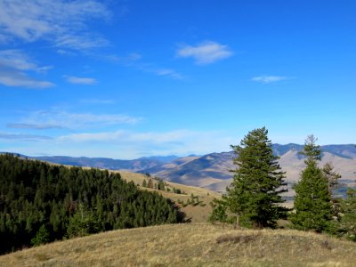 National Bison Range in Montana photo