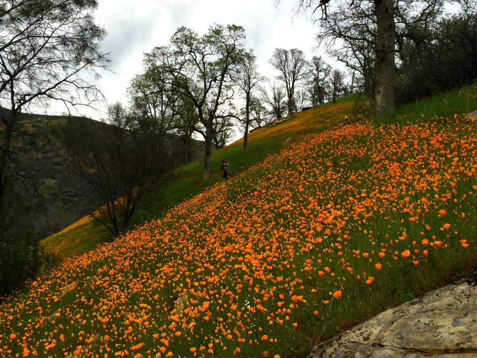 Merced River Recreation Area