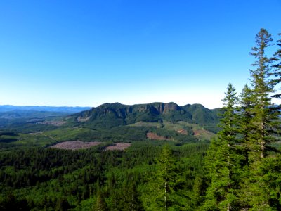 Saddle Mountain Trail in OR