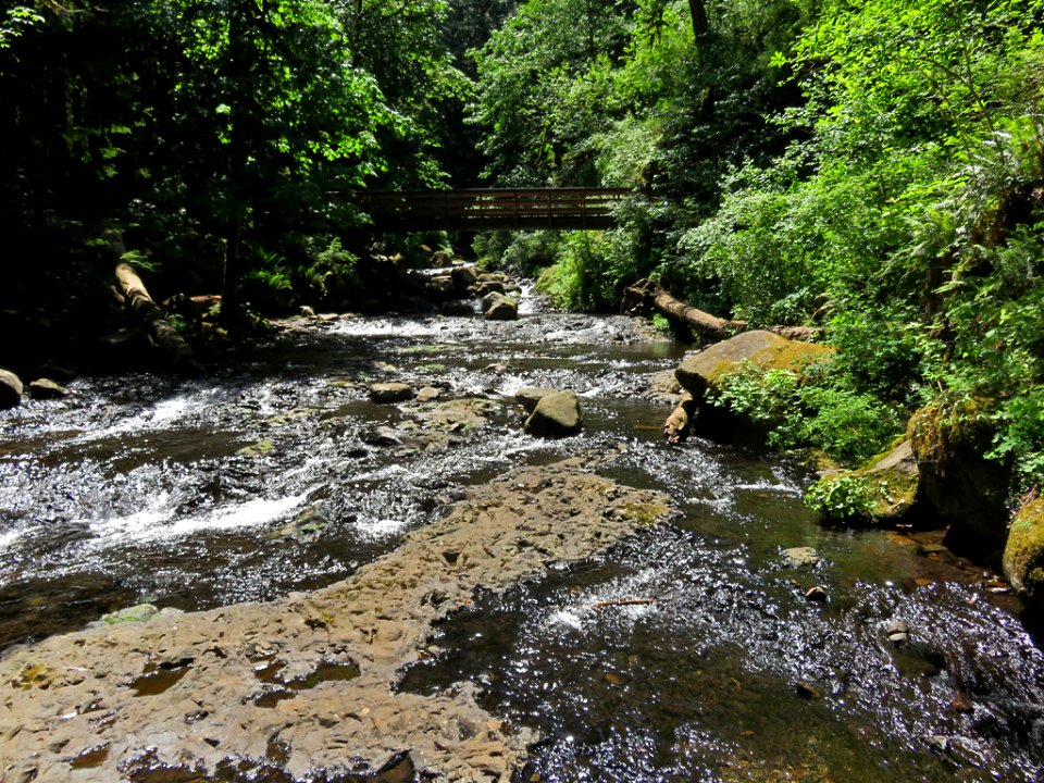 Oneonta Creek at Columbia River Gorge in Oregon