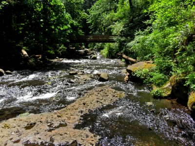 Oneonta Creek at Columbia River Gorge in Oregon