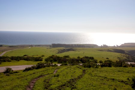 Cotoni-Coast Dairies