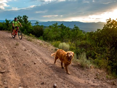 small The Crown Mtn Bike Trails CO-1139