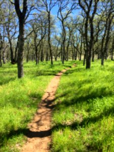 Sacramento River Bend, Yana Trail