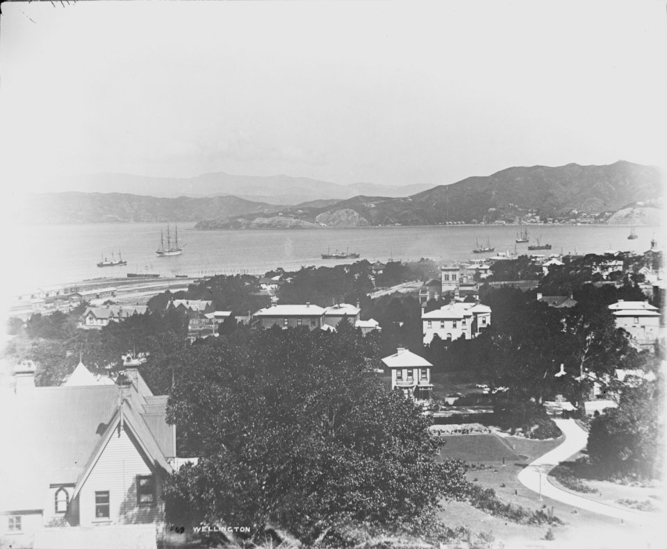 35; Thorndon from Tinakori Hills - Circa 1880 - Glass Plate Negative