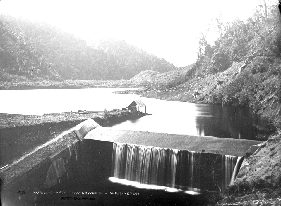 40; Wainuiomata Waterworks Reservoir - Circa 1890 - Glass Plate Negative