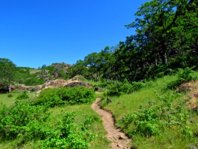 Labyrinth-Coyote Wall Trail in WA