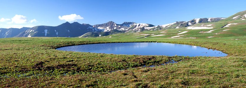 Uncompahgre Wilderness photo