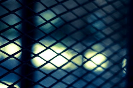 Cage