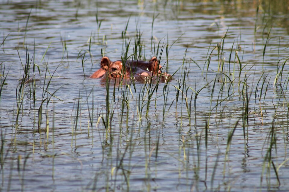 Ethiopia water summer