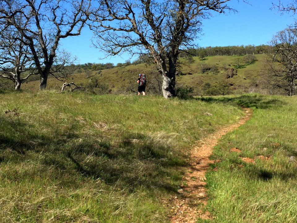 Sacramento River Bend, Yana Trail