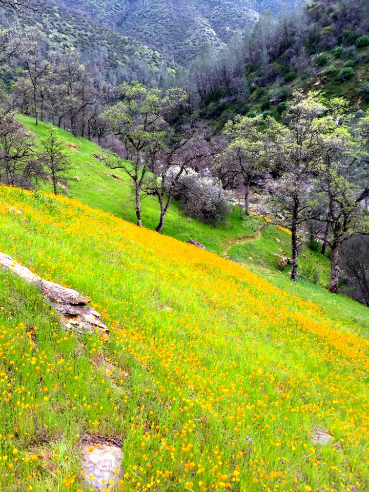Merced River Recreation Area