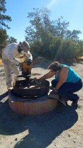 #NPLD 2017: Cleaning up Santa Rosa and San Jacinto Mountains National Monument photo