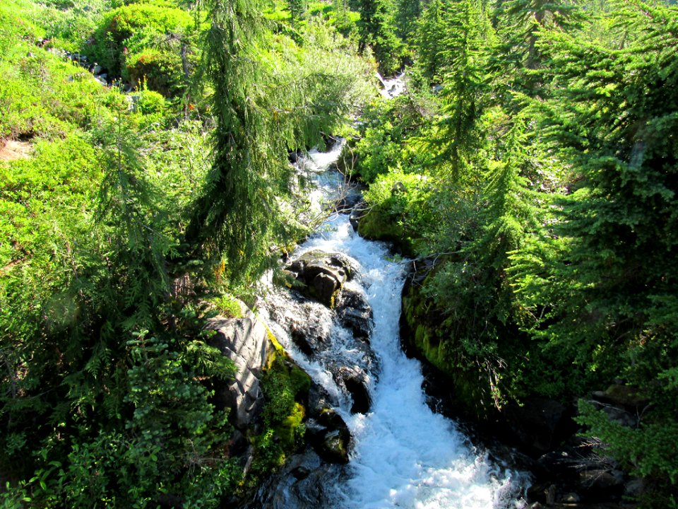Waterfall at Skyline Trail at Mt. Rainier NP in WA