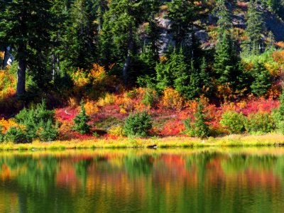 Autumn at Picture Lake in WA