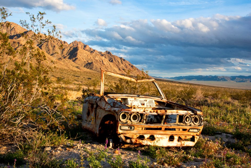 Sheephole Valley Wilderness