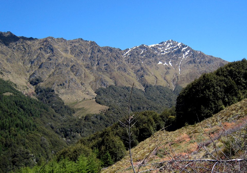 2007 12 12 081-1