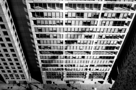 San Francisco Scenes