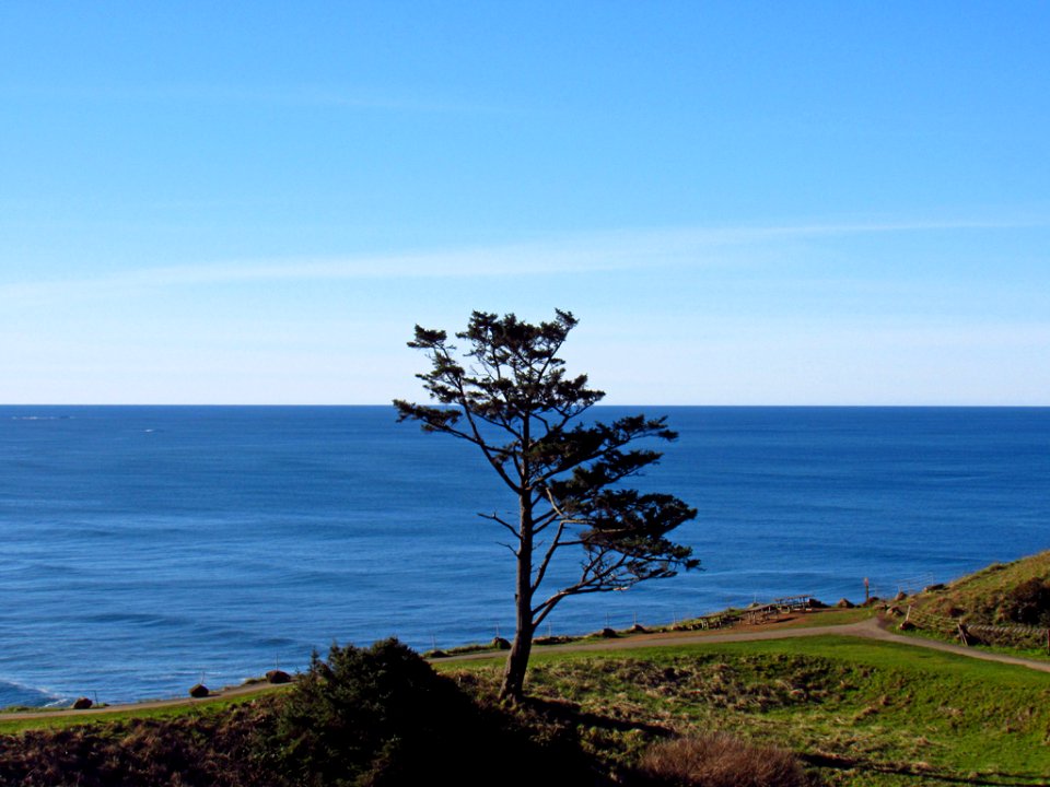 Ecola State Park at Pacific Coast in OR