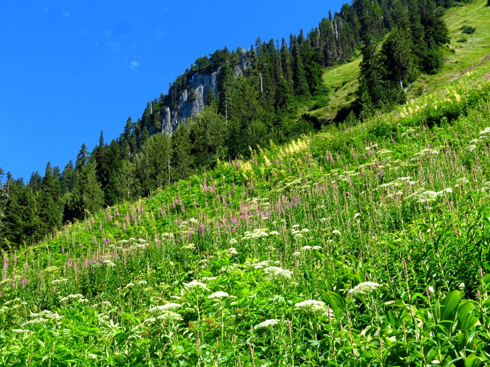 Hidden Lake Trail at North Cascades NP in WA