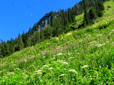 Hidden Lake Trail at North Cascades NP in WA photo