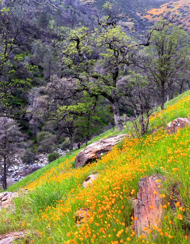 Merced River Recreation Area