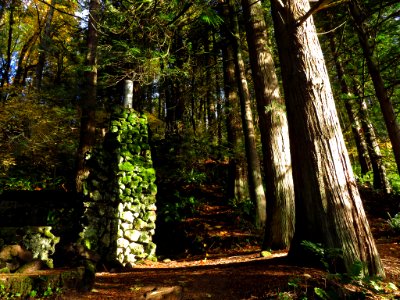 Abandoned Skamania Stone House in WA photo