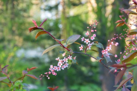 P1090026