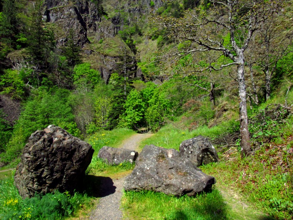 Dog Creek Falls Trail in WA