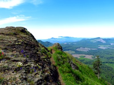Saddle Mountain Trail in OR