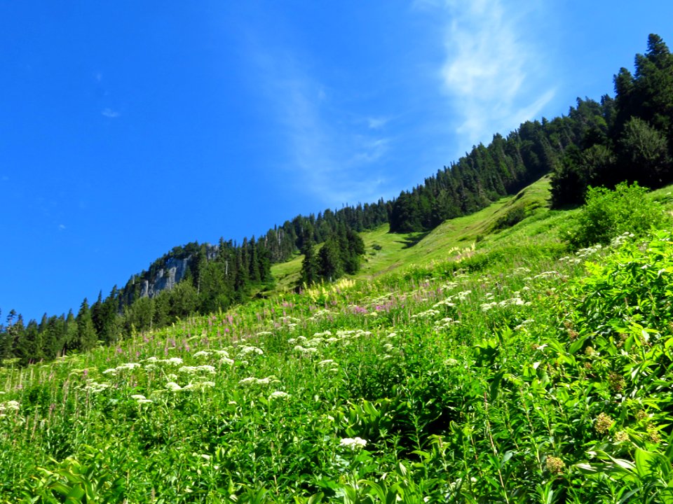 Hidden Lake Trail at North Cascades NP in WA