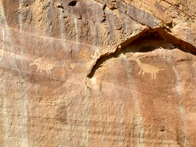 Petroglyphs at Capitol Reef NP in Utah