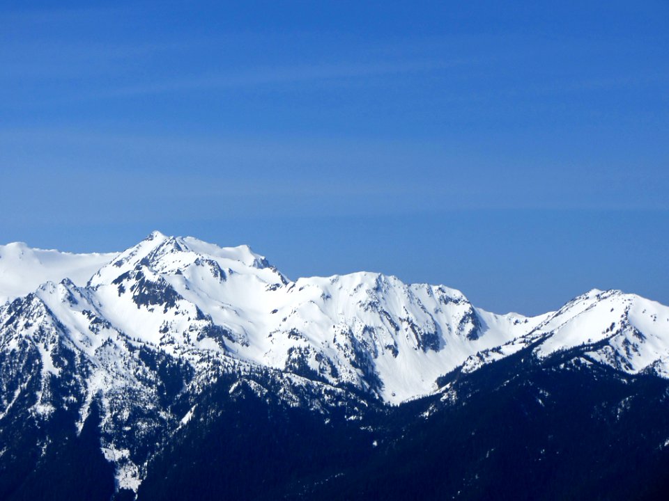 Hurricane Ridge at Olympic NP in WA