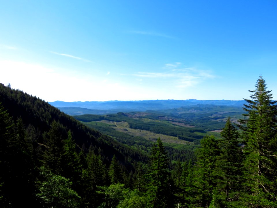 Saddle Mountain Trail in OR