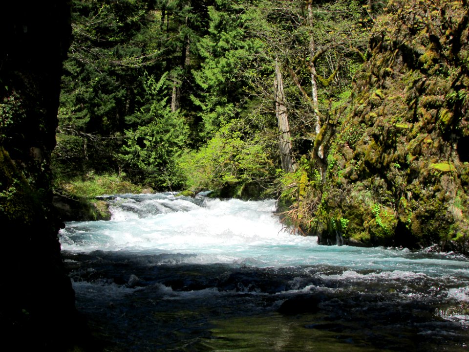Spirit Falls Trail on Little White Salmon River in WA