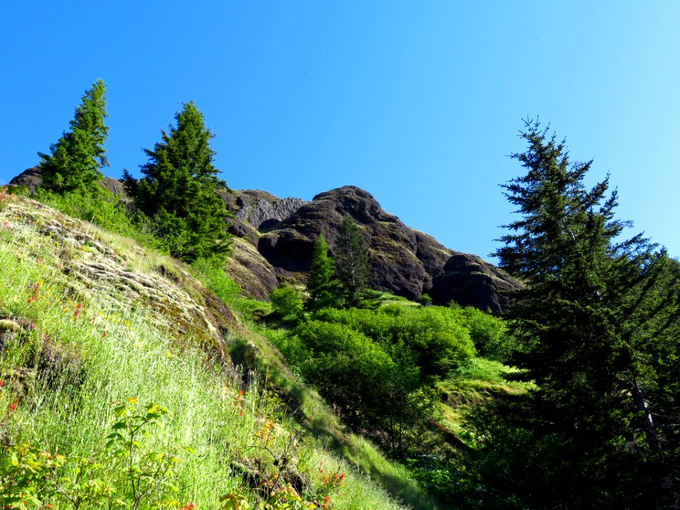 Saddle Mountain Trail in OR