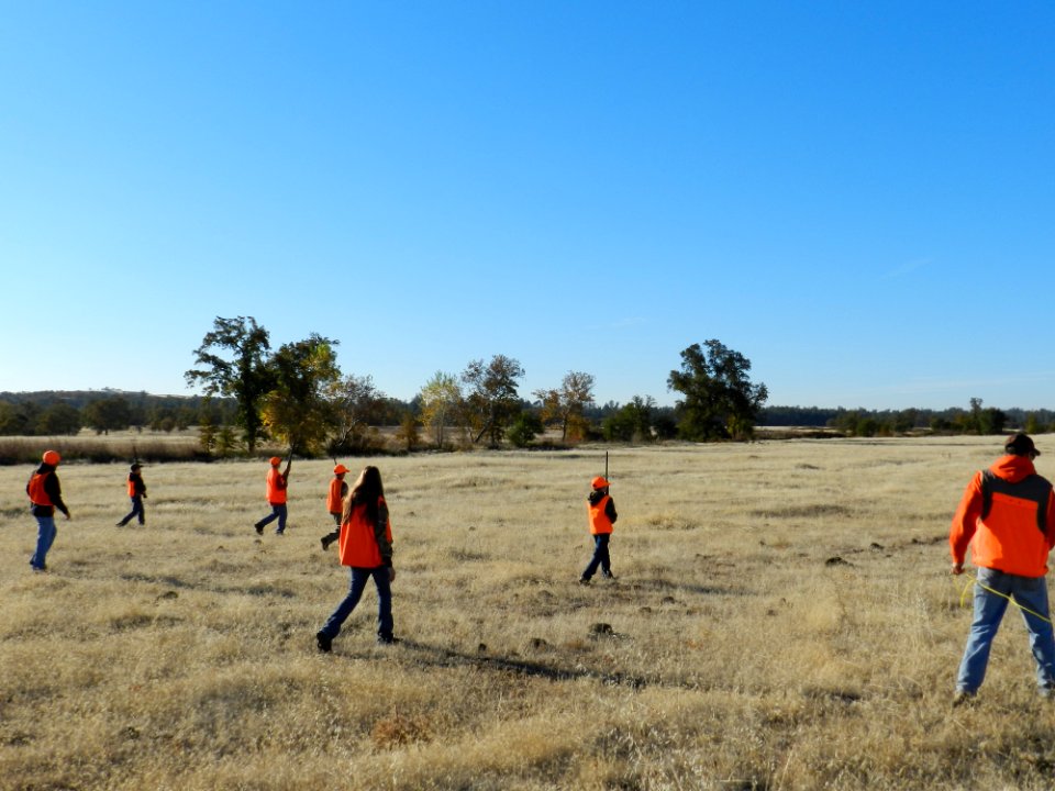 A Hunting Tradition, the Sacramento River Bend Annual Pheasant Hunt