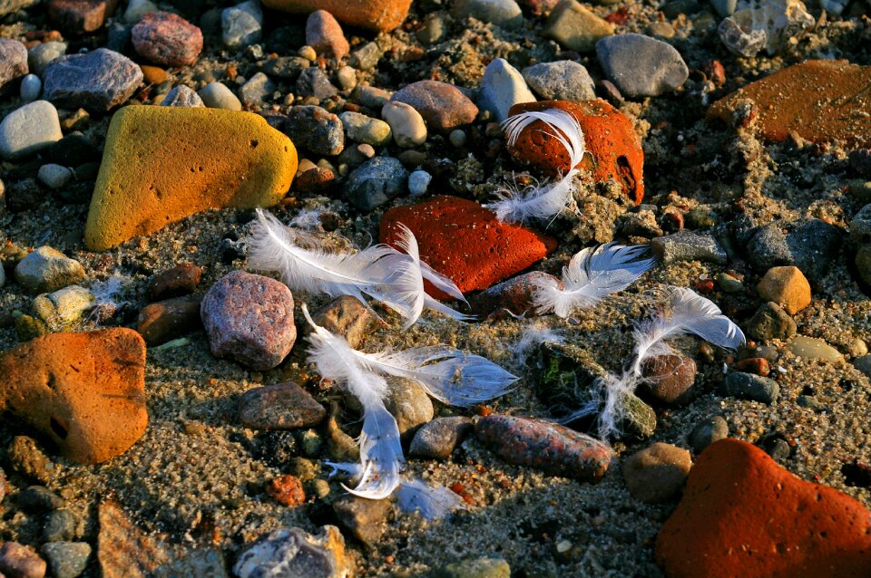 Sea coast landscape
