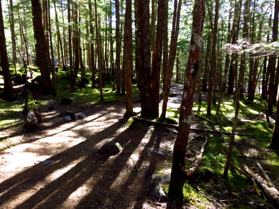 Ramona Falls Hike at Mt. Hood Wilderness in Oregon