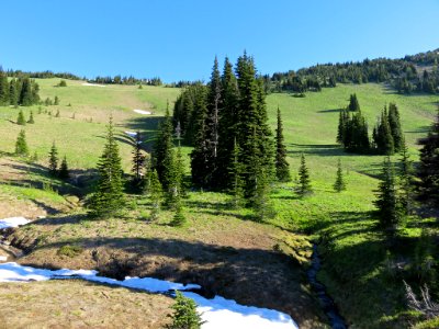 Mt. Rainier NP in WA