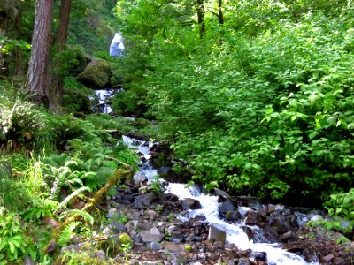 Wahkeena Falls at Columbia River Gorge in Oregon photo