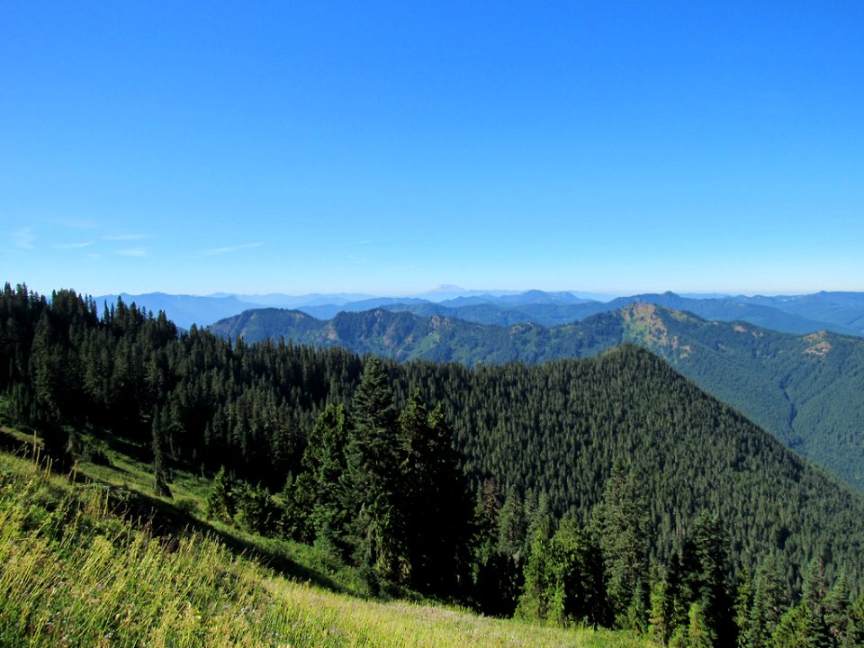Tatoosh Wilderness in WA